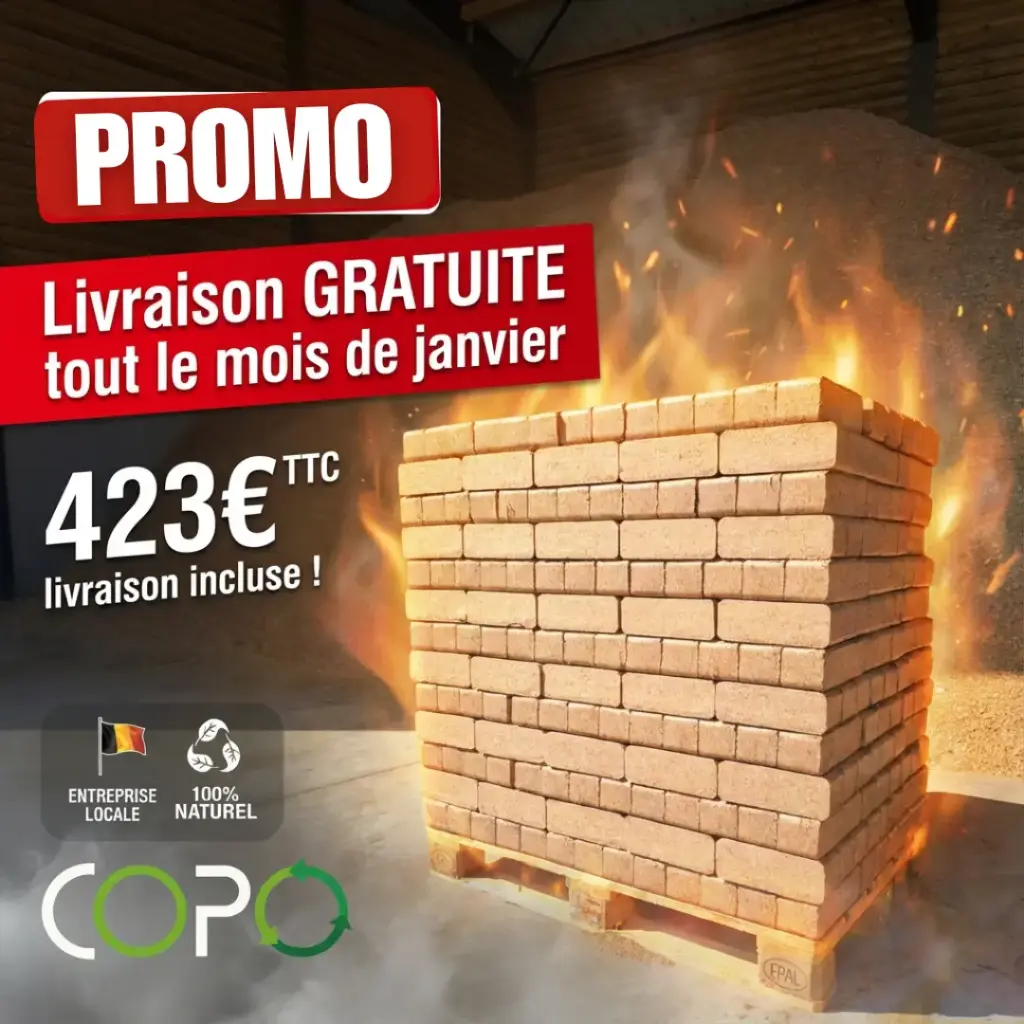 PROMO - 1 tonne de briquettes en vrac sur palette
